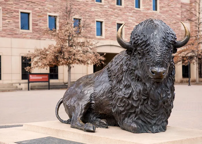 Family Hotel: Residence Inn By Marriott Boulder Canyon Boulevard